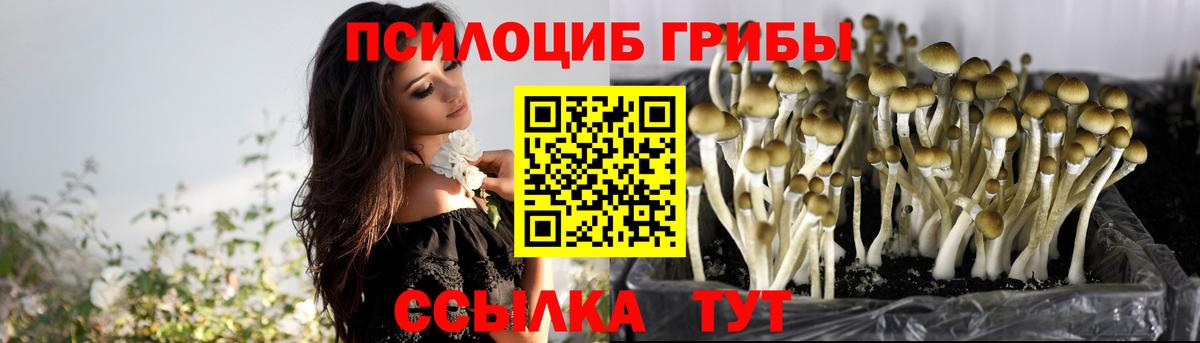Галлюциногенные грибы мухоморы Печора